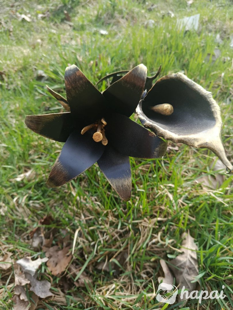 Фото 9