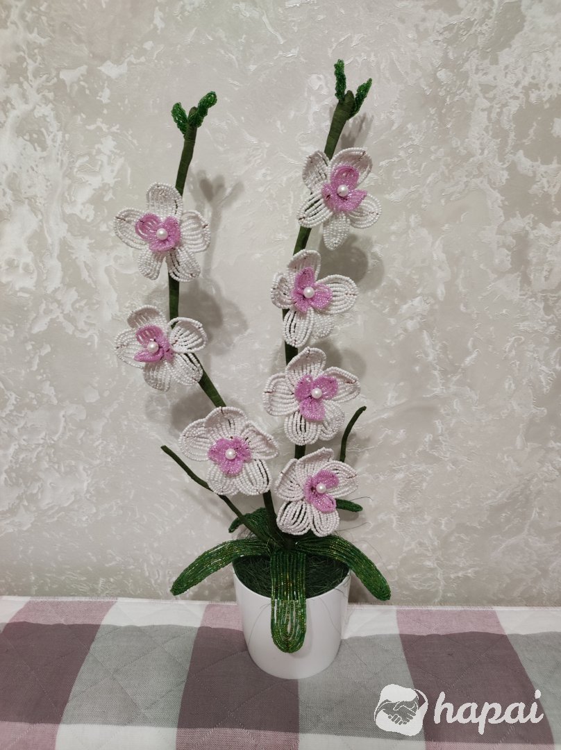 Фото 4