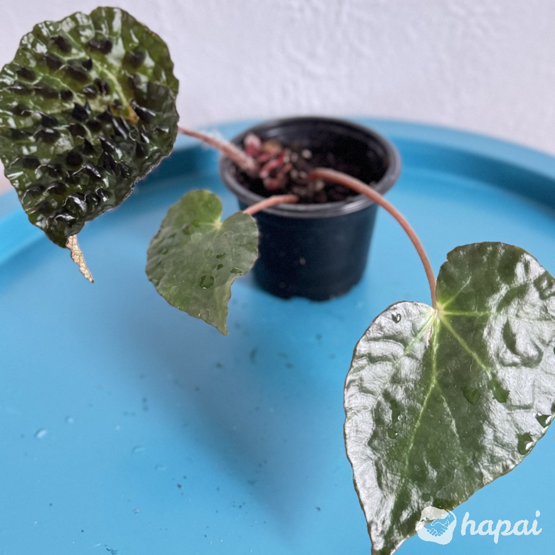 Фото 6