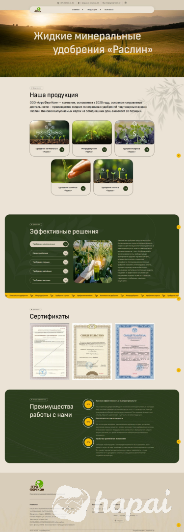 Разработка сайтов