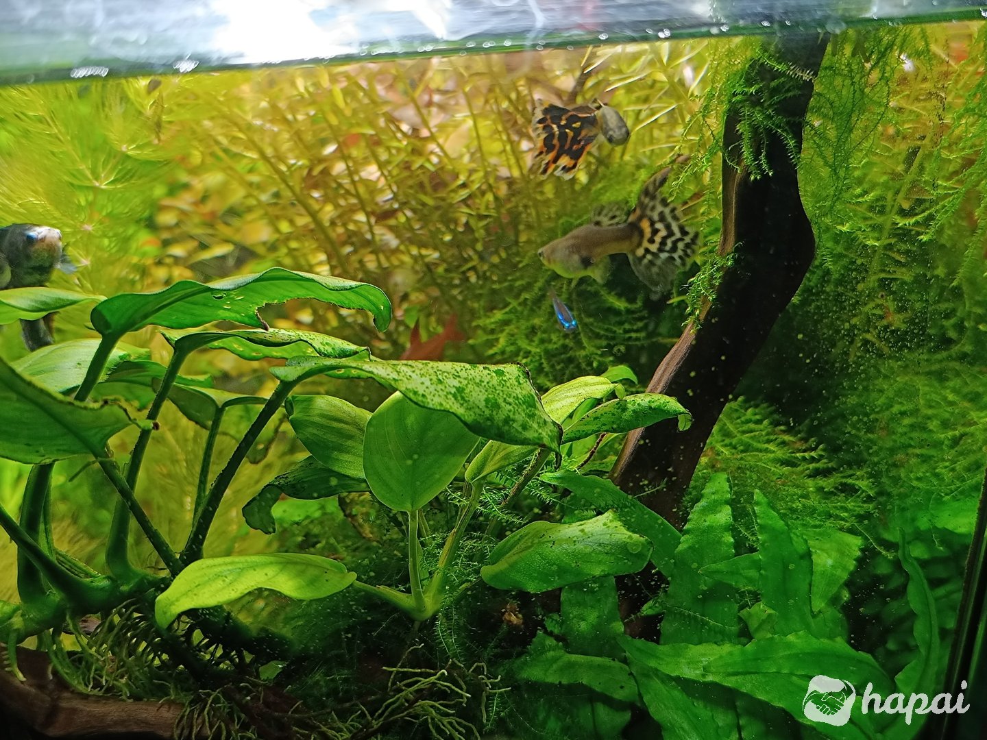 Фото 4