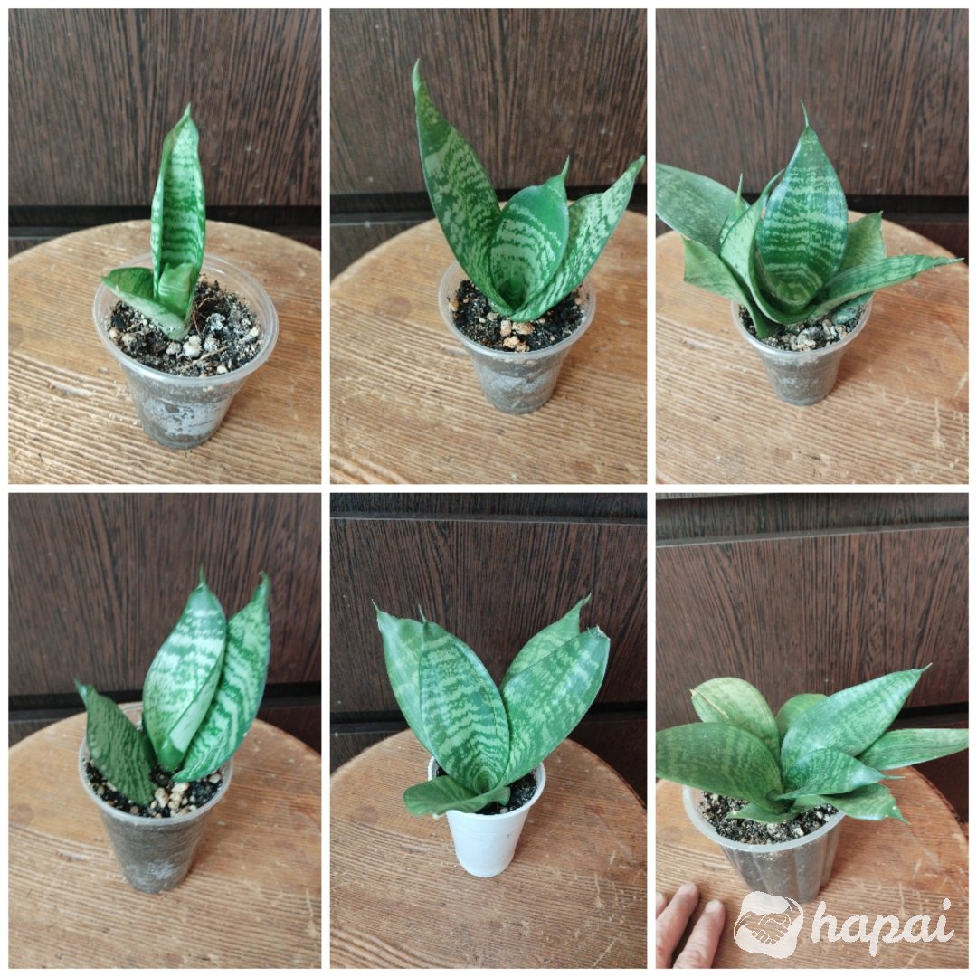 Фото 2