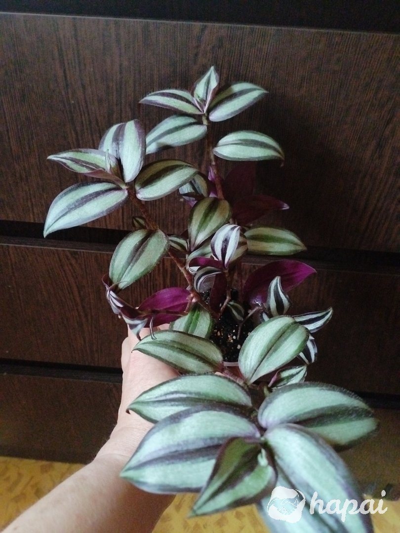 Фото 3