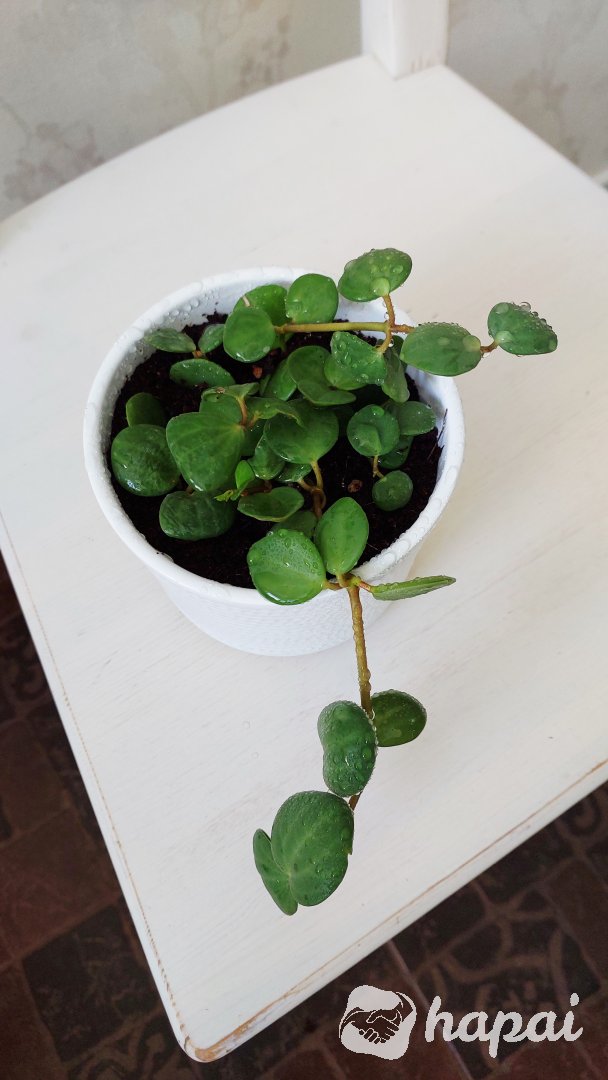 Фото 6
