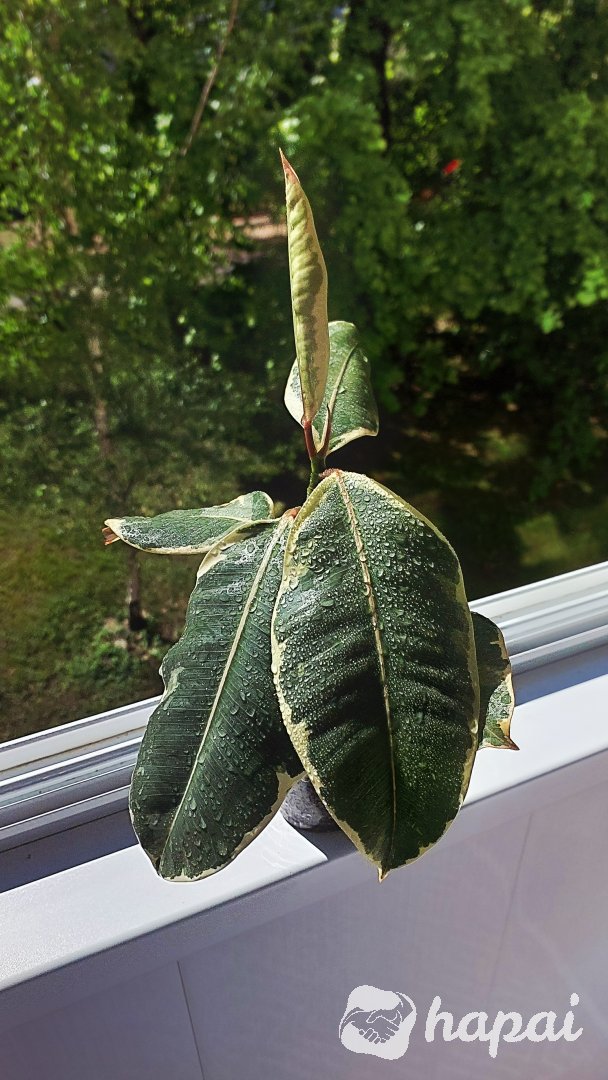 Фото 6