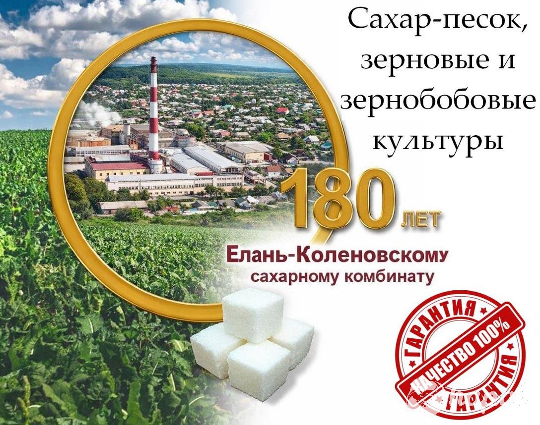 АО «Елань-Коленовский сахарный завод» (Воронежская область), входящий в структуру одного из крупнейших агрохолдингов России, расширяет экспортную программу. Мы предлагаем прямые поставки сахара собственного производства, а также широкий спектр сельскохозя