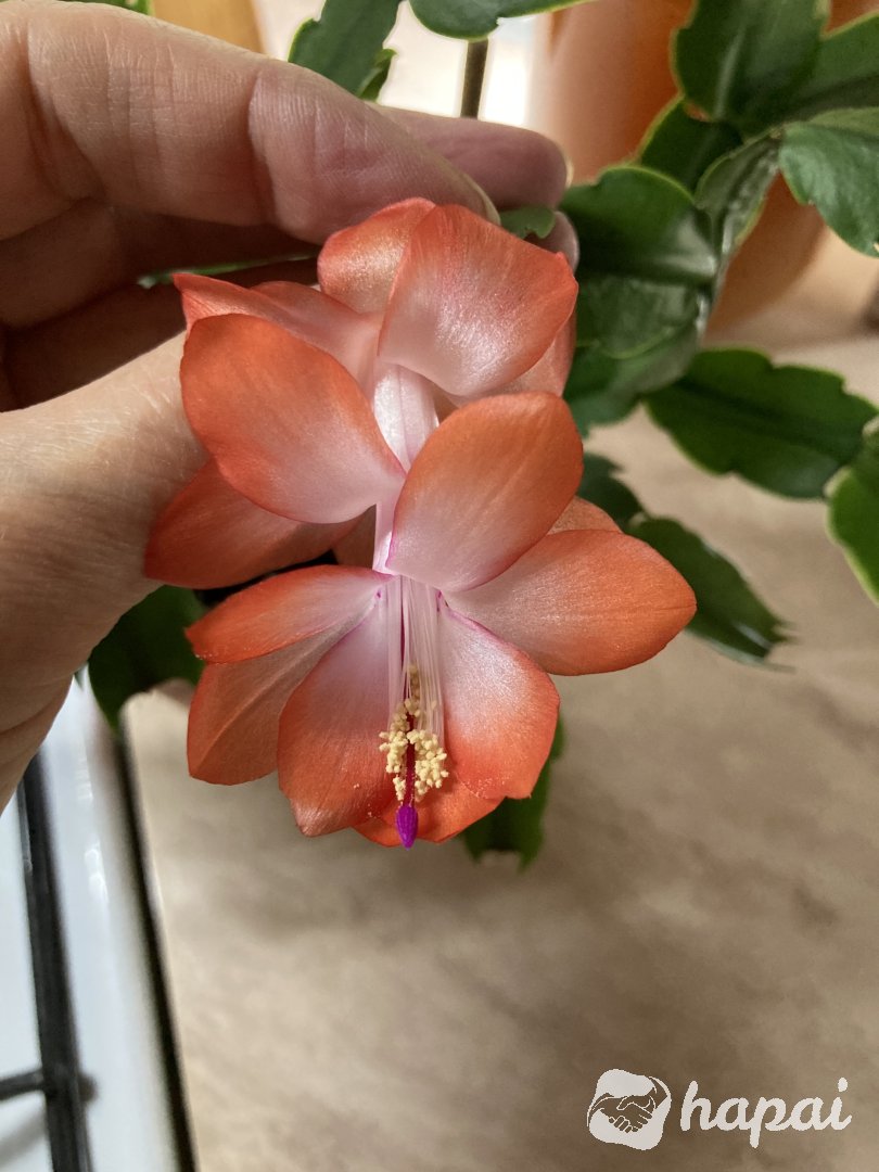 Фото 4