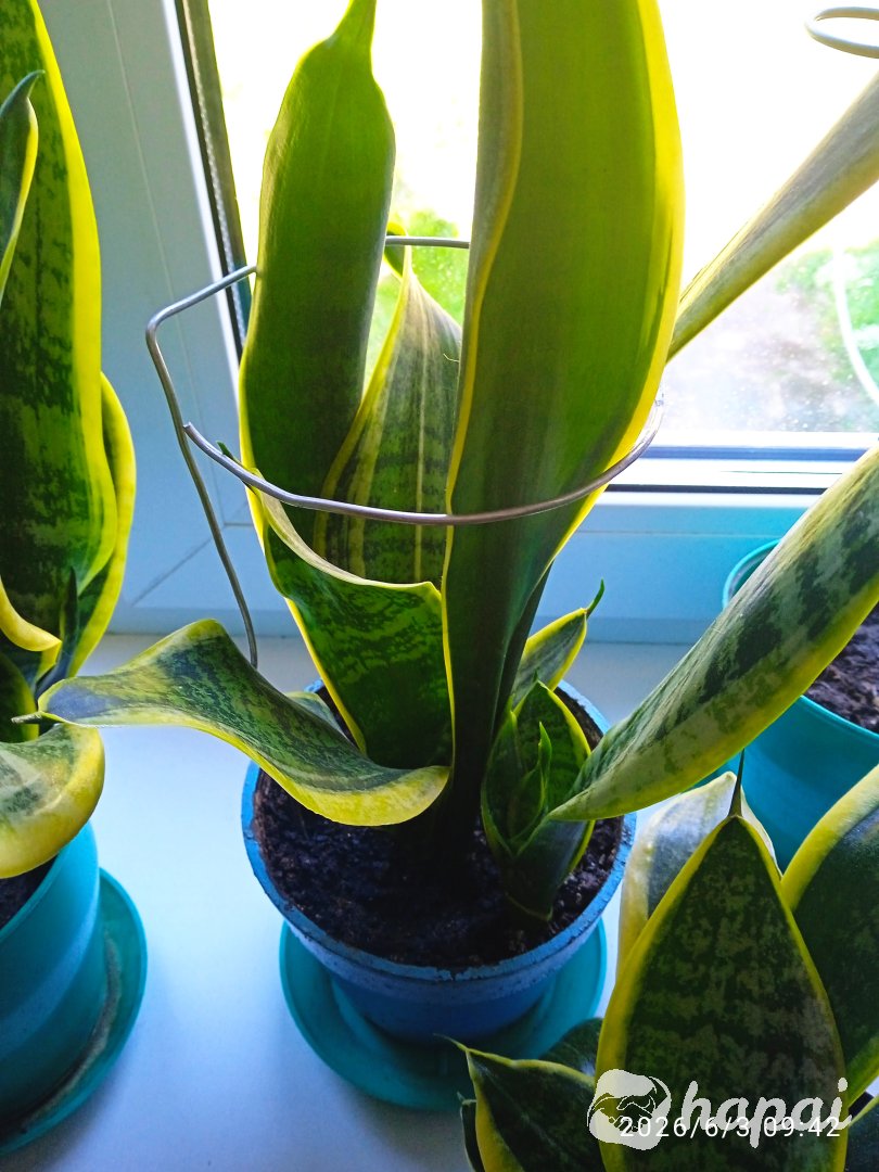Фото 2