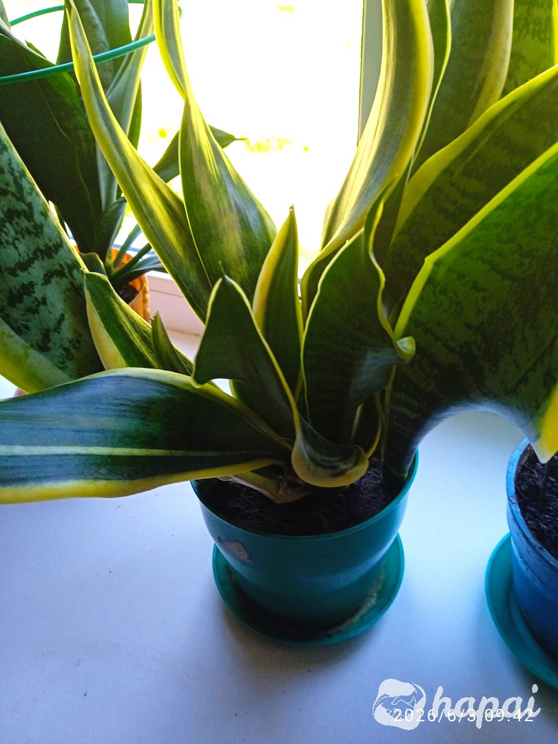 Фото 3