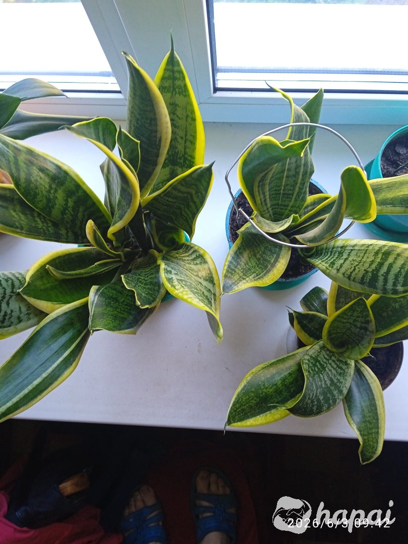 Фото 4