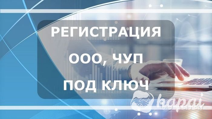 Регистрация ООО/ЧУП. Бесшовный переход ИП в ЮЛ