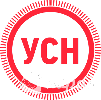 Бух. услуги для ООО/ЧУП на УСН. Налоговые консультации. Дивиденды