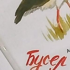 Стикеры "Птушкі Беларусі"