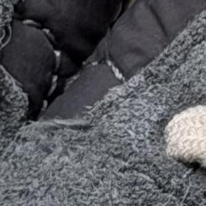 Кроссовки ZARA с ортопедической подошвой