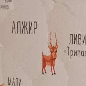 Покраска потолка и стен. Поклейка обоев