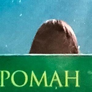 Джоди Пиколт "Обращаться с осторожностью"