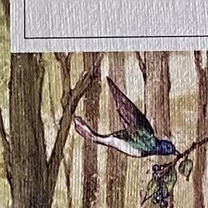 Книга Девочка из волшебного леса Эполь