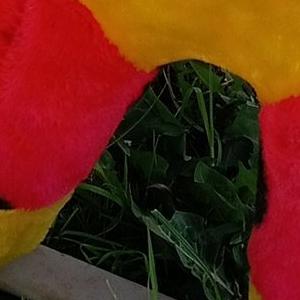 Детская качалка «Веселая лощадка»
