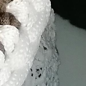 Шкатулки из трикотажной пряжи