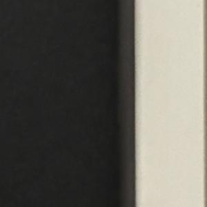 Xiaomi Redmi Note 8 Pro (6GB RAM/64GB ROM)