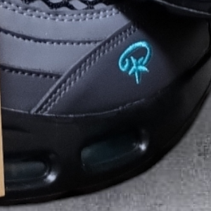 Кроссовки Nike Air Max 95 X Corteiz