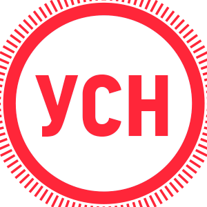 Бух. услуги для ООО/ЧУП на УСН. Налоговые консультации. Дивиденды
